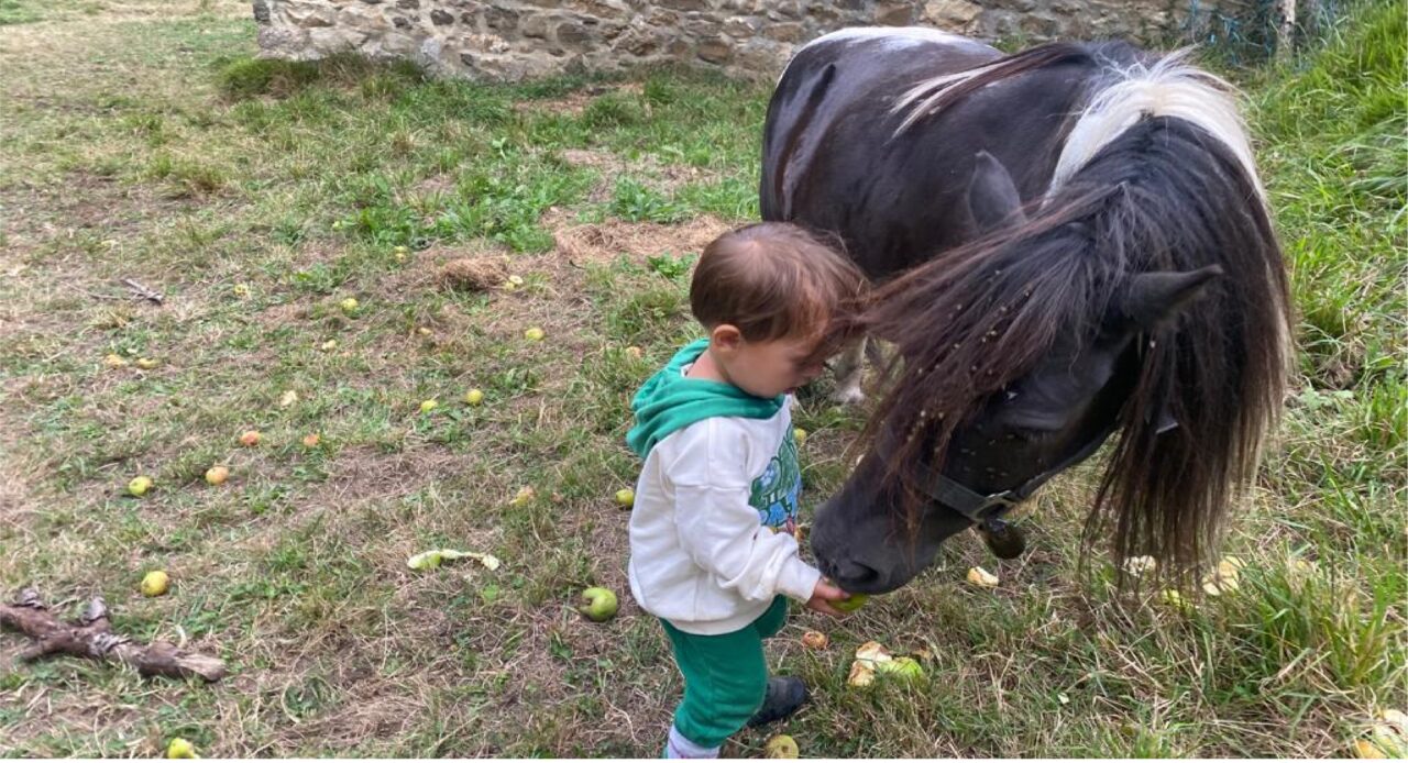 Jack, el pony en la Senda del Oso